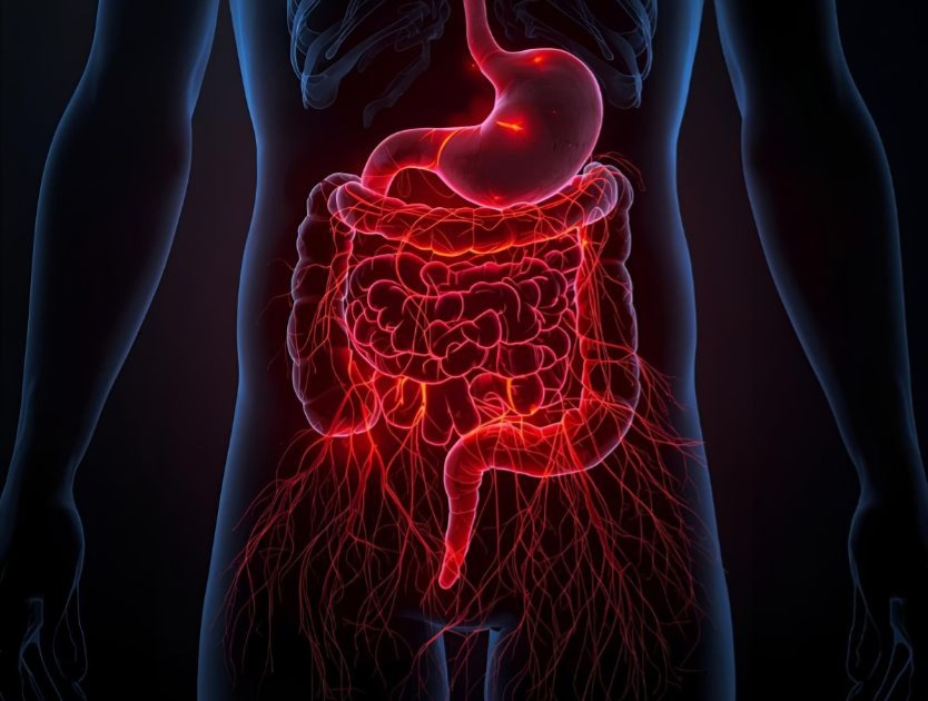 GUT ISSUES AND INFLAMMATION  and HEALTHY GUT